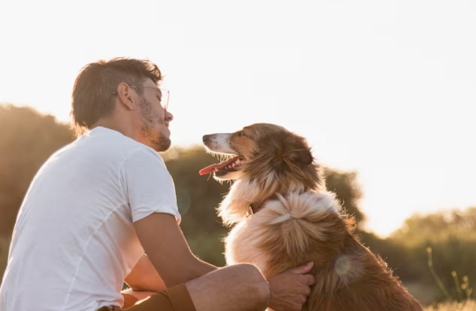 La increíble razón por la que deberías acariciar más a tu perro, según la ciencia