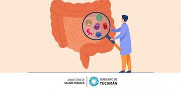 Como detectar y prevenir la Gastroenteritis en época estival.