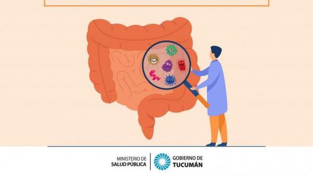 Como detectar y prevenir la Gastroenteritis en época estival.