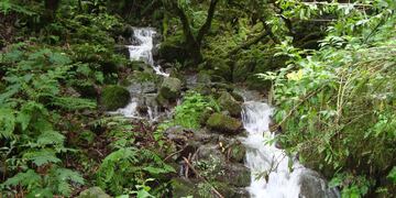Reserva Natural del Huaico, ubicada en Villa Giardino