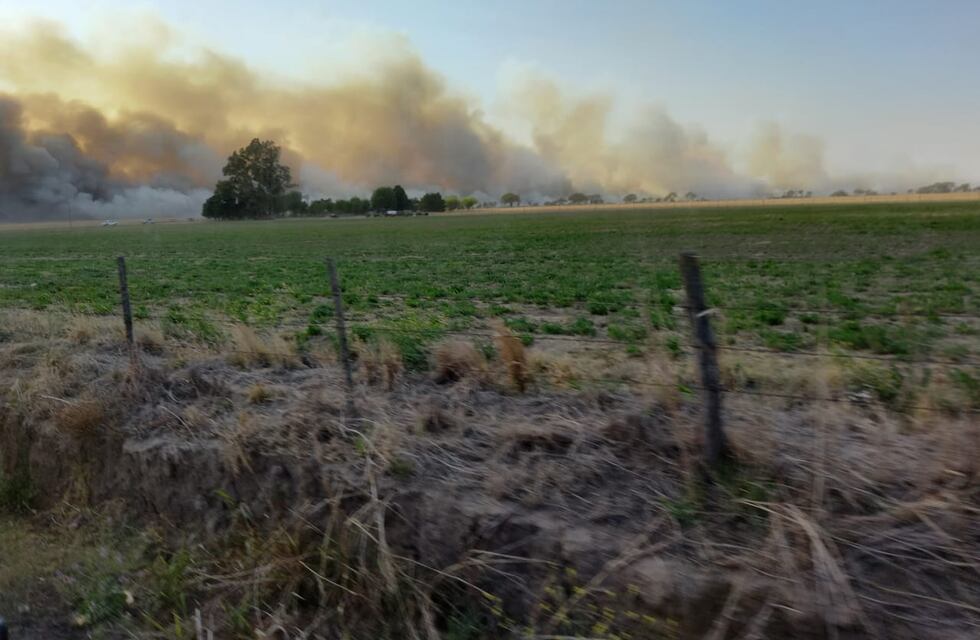 Fuego en Córdoba: controlan un incendio en Río Segundo