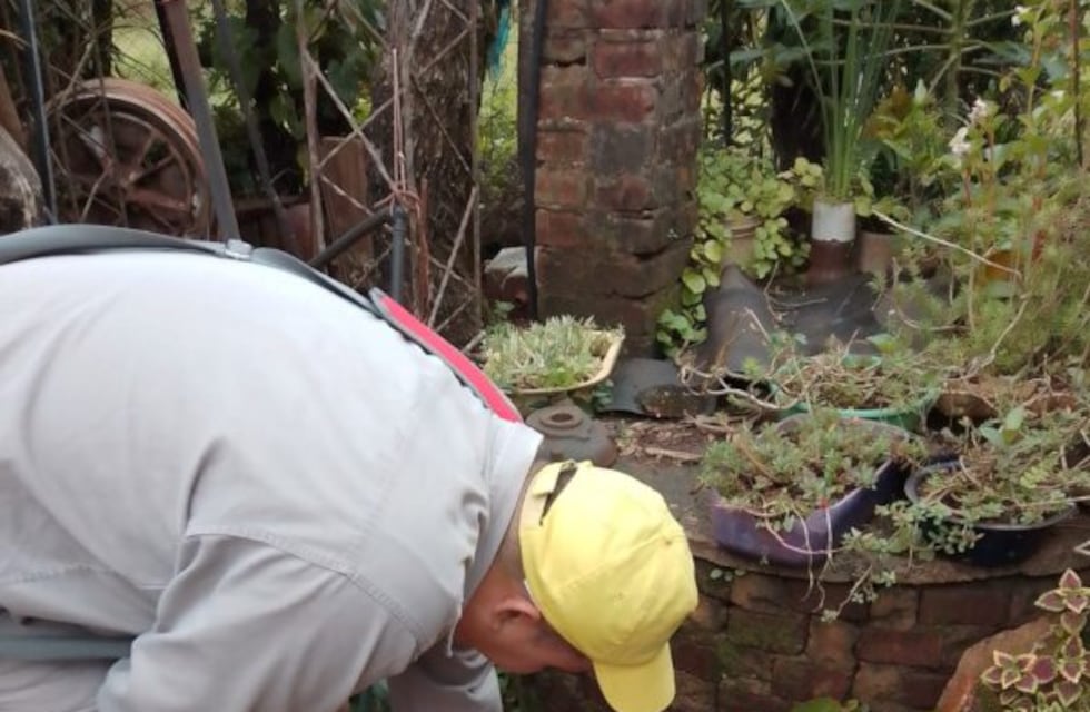 Eldorado: realizan control de vectores