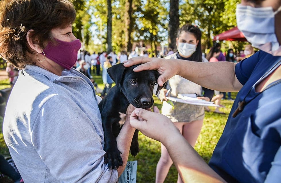Operativo sanitario animal en Eldorado