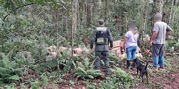 Secuestran casi 25 mil atados de cigarrillos en Colonia Victoria.