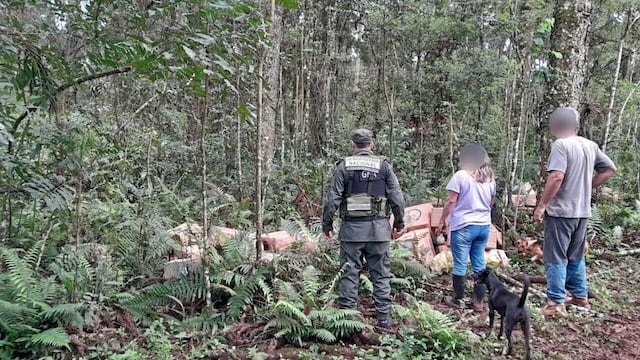 Secuestran casi 25 mil atados de cigarrillos en Colonia Victoria.