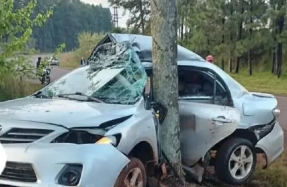Chocó contra un árbol y falleció en el acto