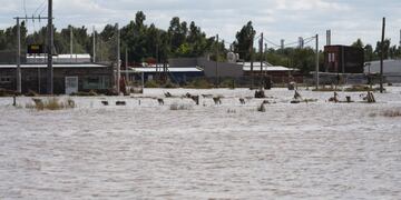 Piden obras para evitar que el Saladillo de García vuelva a desbordarse