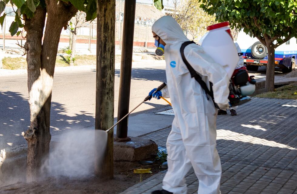 Maipú realiza operativos de limpieza especiales