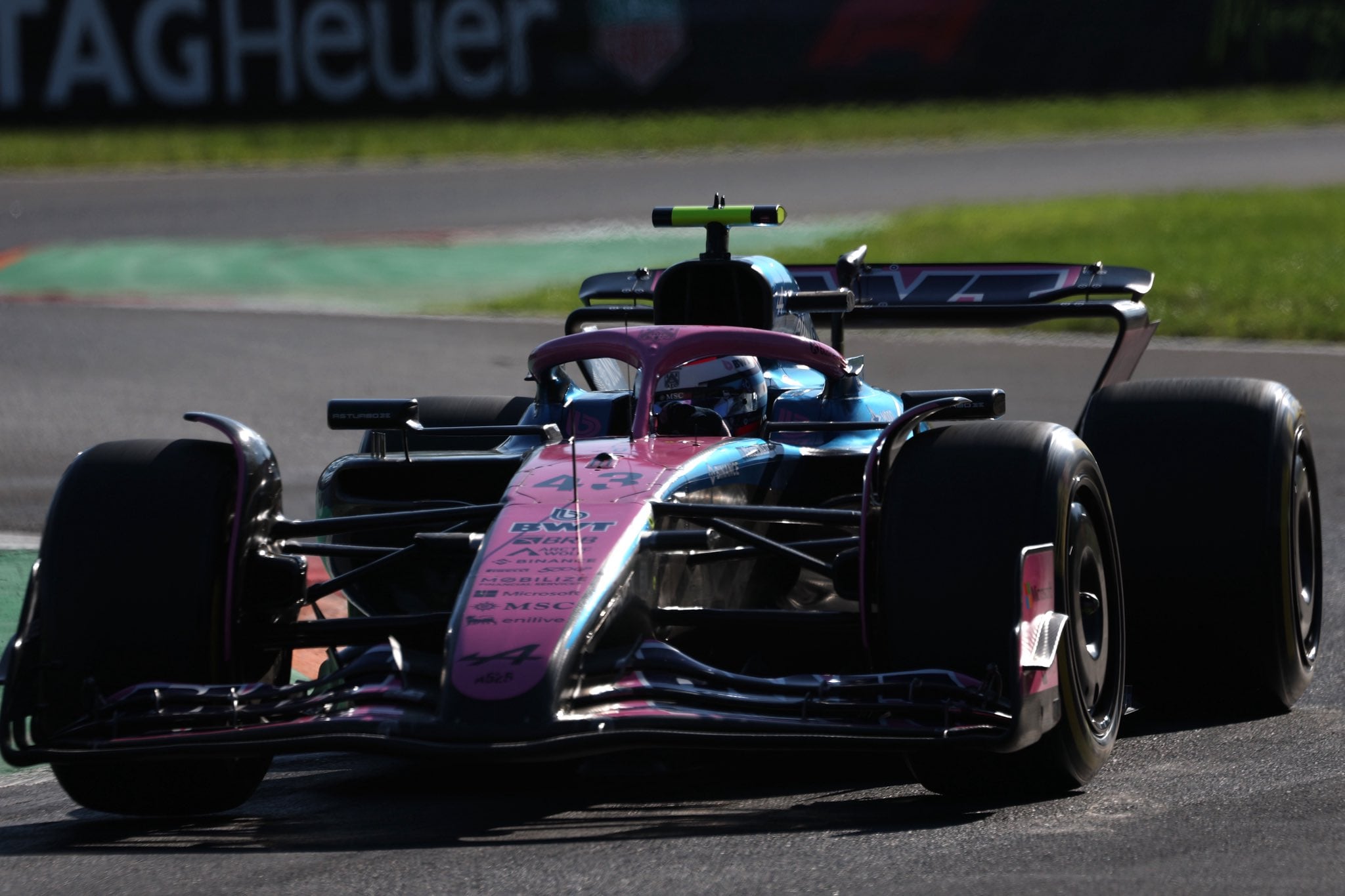 Colapinto en el GP de Monza (Alpine)