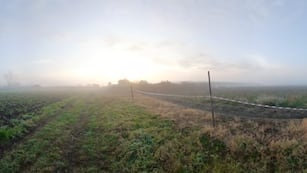 El campo donde fue descubierto el cadáver.
