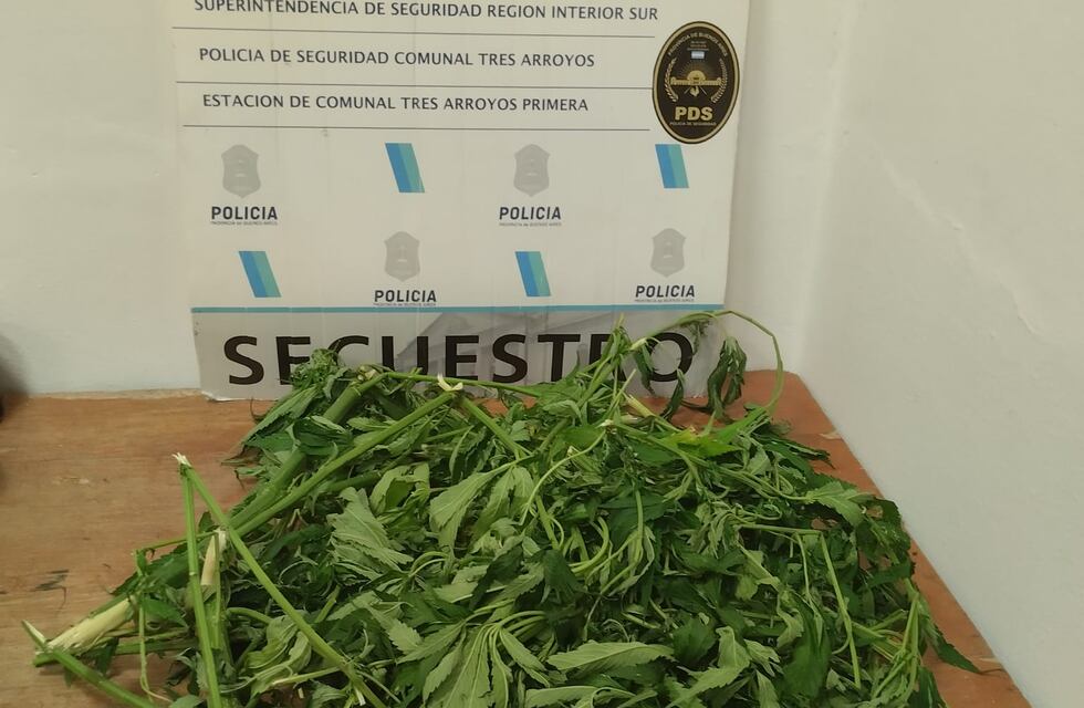Tres Arroyos: menor aprehendido con marihuana en su poder