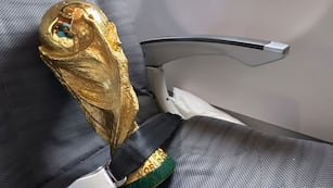 La Copa del Mundo viaja segura hacia argentina, mimada y custodiada por los campeones. (Twitter)