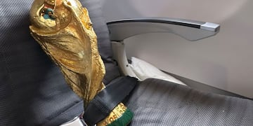 La Copa del Mundo viaja segura hacia argentina, mimada y custodiada por los campeones. (Twitter)