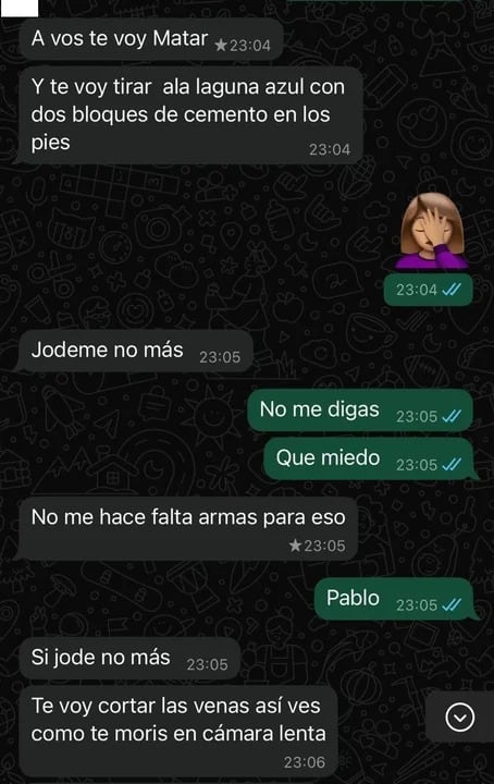 Los mensajes que la mujer recibió.