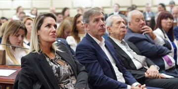 Carolina Losada en el Congreso