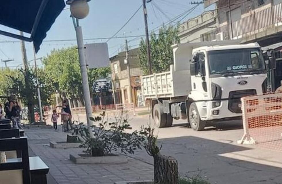 Concejal de Pérez pidió informe al Ejecutivo Municipal por la tala de árboles