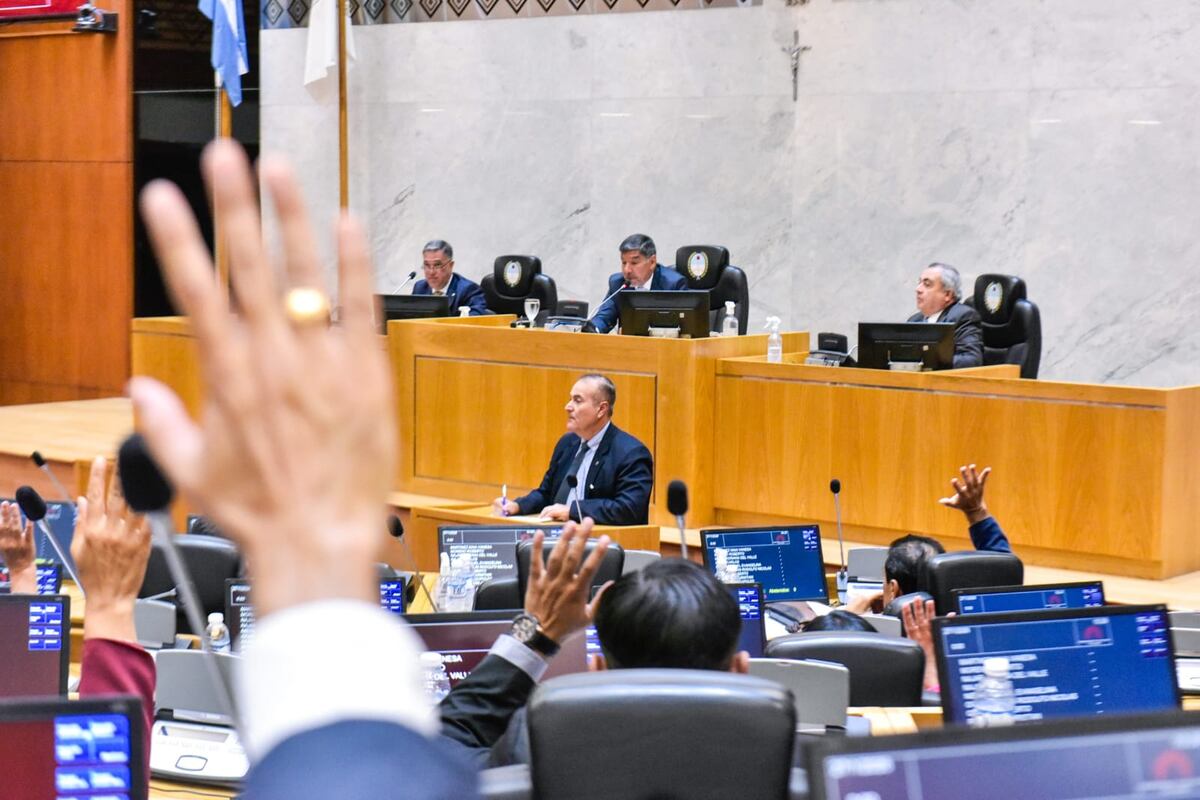 La Legislatura ratificó el decreto del PE.