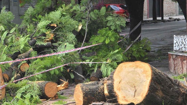 La poda en Arroyito se permitirá hasta fin de Julio