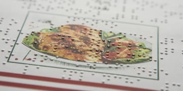 Sistema Braille en menús gastronómico. Foto Ilustrativa.