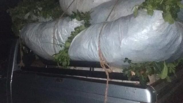 El secuestro de la materia prima fue durante la noche de ayer.