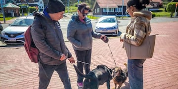 Exitosa “caninata” en Ushuaia