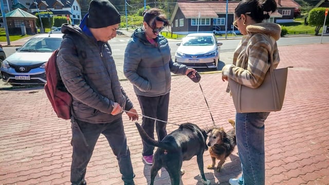 Exitosa “caninata” en Ushuaia