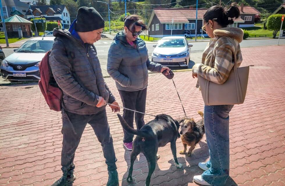Exitosa “caninata” en Ushuaia