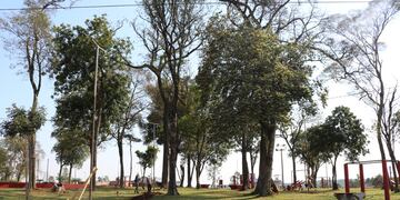 Se encuentran colocando luminarias LED en la ciudad de Oberá.