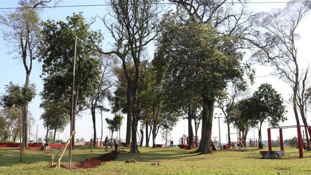 Se encuentran colocando luminarias LED en la ciudad de Oberá.
