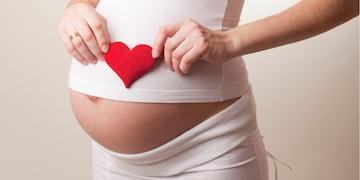 Generalmente, los controles son mensuales hasta la semana 34, quincenales hasta la semana 36, y semanales en la última etapa hasta el nacimiento. / Sanatorio Allende