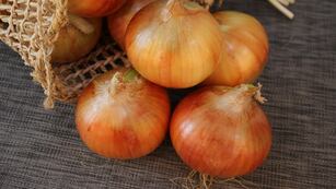 cebolla