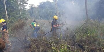 Incendio forestal en Iguazú afectó 10 hectáreas de bosque nativo.