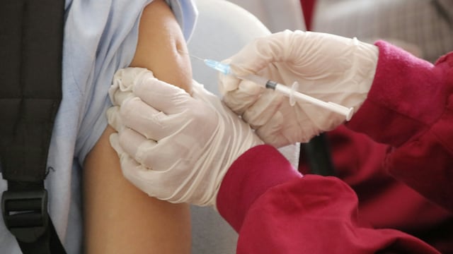 Advierten que podría haber una epidemia de fiebre amarilla en Argentina: qué pasa con las vacunas