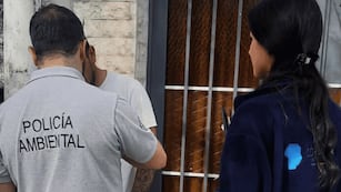 Clausuraron un local que tenía productos fitosanitarios con etiquetas aduleteradas en Córdoba, entre otras irregularidades.