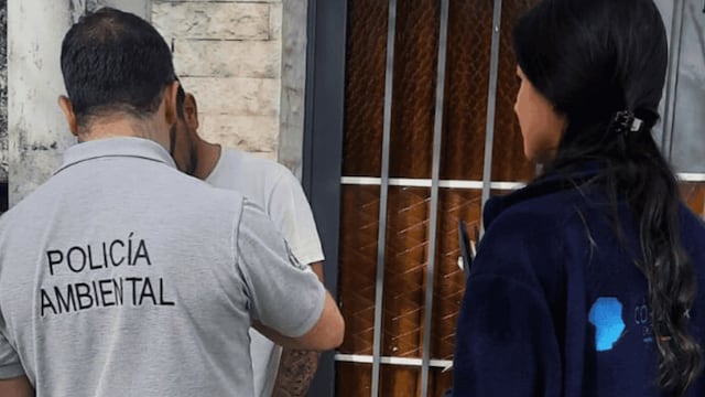 Clausuraron un local que tenía productos fitosanitarios con etiquetas aduleteradas en Córdoba, entre otras irregularidades.