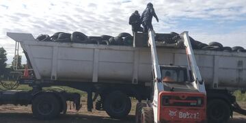 se cargaron 300 kg. De neumáticos en desuso para su correcto tratamiento