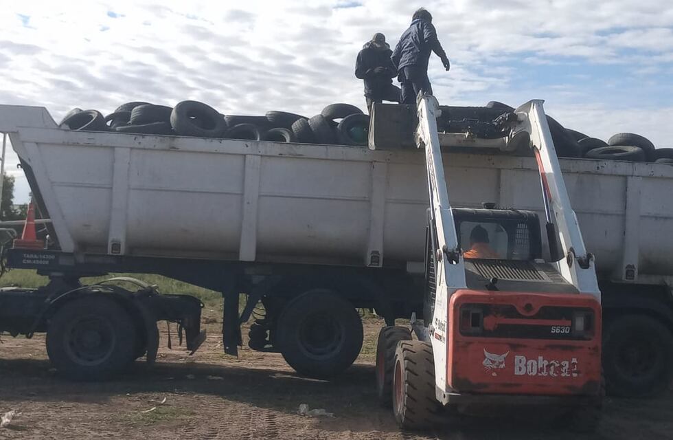 Tres Arroyos: se cargaron 300 neumáticos en desuso para su correcto tratamiento
