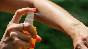 Sugieren extremar los cuidados contra el dengue.