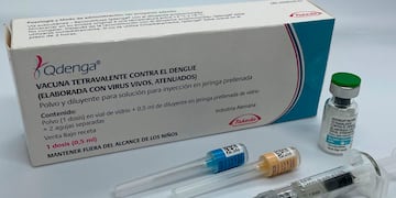 La vacuna contra el dengue. llega a San Juan, las venden en las farmacias, a pedido y las obras sociales o prepagas no las cubre. /Imagen ilustrativa- Clarin