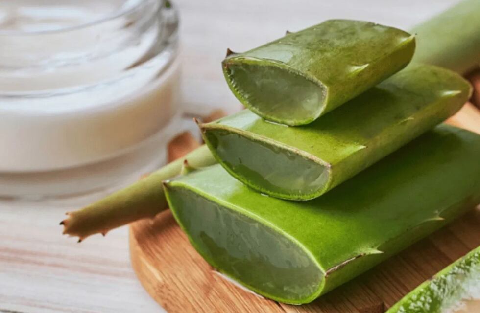Ni aloe vera ni hidratantes: el truco casero con un solo ingrediente para tener la piel suave y brillosa