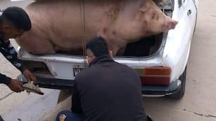Fuertes imágenes sobre un incidente en Jesús María.