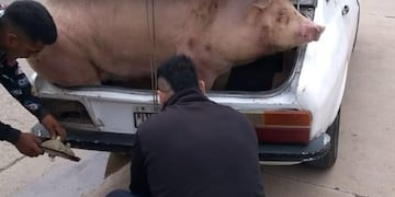 Fuertes imágenes sobre un incidente en Jesús María.