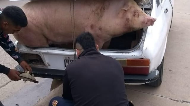 Fuertes imágenes sobre un incidente en Jesús María.
