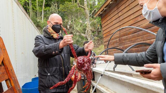 La intención fue conocer a productores de la zona, los métodos de producción y la infraestructura de los emprendimientos productivos.