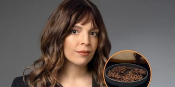 Cómo hacer las galletitas de semillas de Dalma Maradona: la receta exquisita y con 3 ingredientes