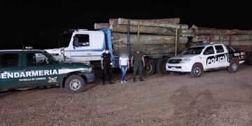 San Vicente: incautaron un camión con madera presuntamente robada.