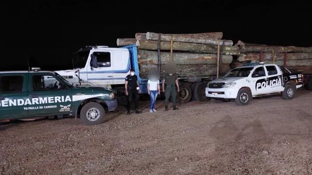 San Vicente: incautaron un camión con madera presuntamente robada.