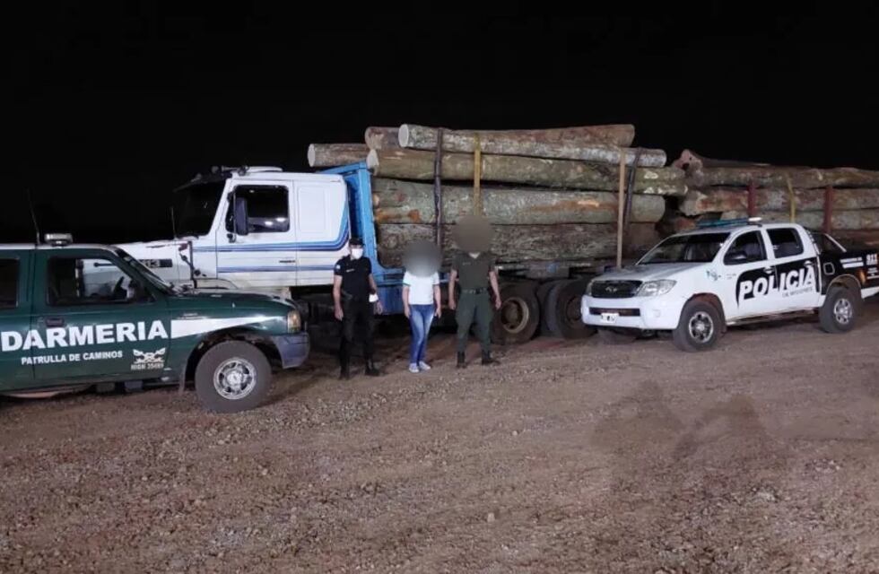 San Vicente: incautaron un camión con madera presuntamente robada