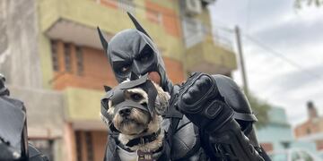 Rex, el Batiperro de Córdoba.