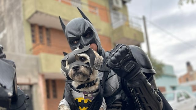 Rex, el Batiperro de Córdoba.